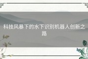 科技风暴下的水下识别机器人创新之路