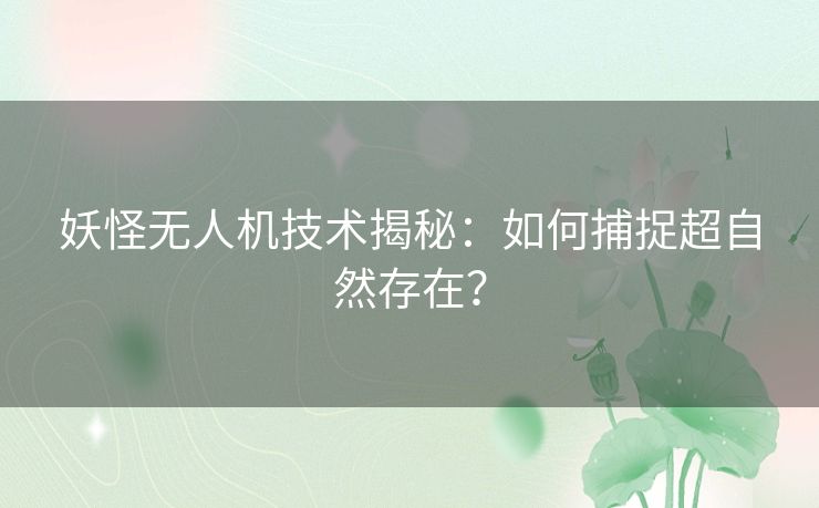 妖怪无人机技术揭秘：如何捕捉超自然存在？