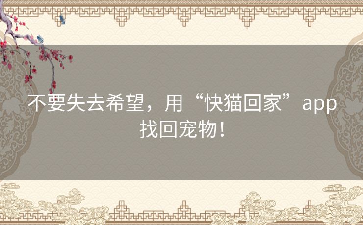 不要失去希望,用“快猫回家”app找回宠物! 不要失去希望,用“快猫回家”app找回宠物!