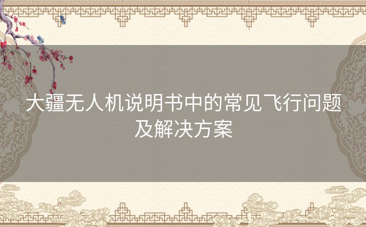 大疆无人机说明书中的常见飞行问题及解决方案
