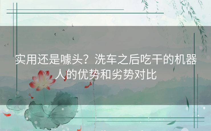 实用还是噱头?洗车之后吃干的机器人的优势和劣势对比 实用还是噱头?洗车之后吃干的机器人的优势和劣势对比