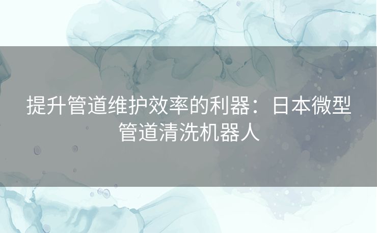 提升管道维护效率的利器：日本微型管道清洗机器人