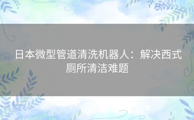 日本微型管道清洗机器人：解决西式厕所清洁难题