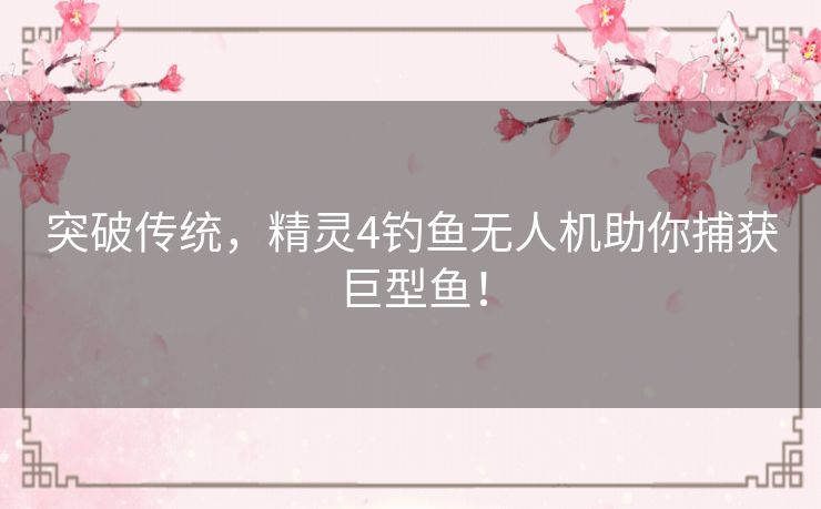 突破传统，精灵4钓鱼无人机助你捕获巨型鱼！