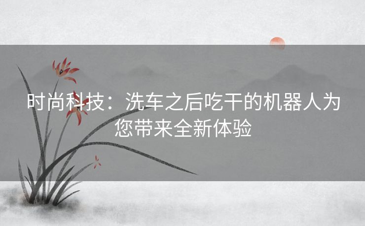 时尚科技：洗车之后吃干的机器人为您带来全新体验