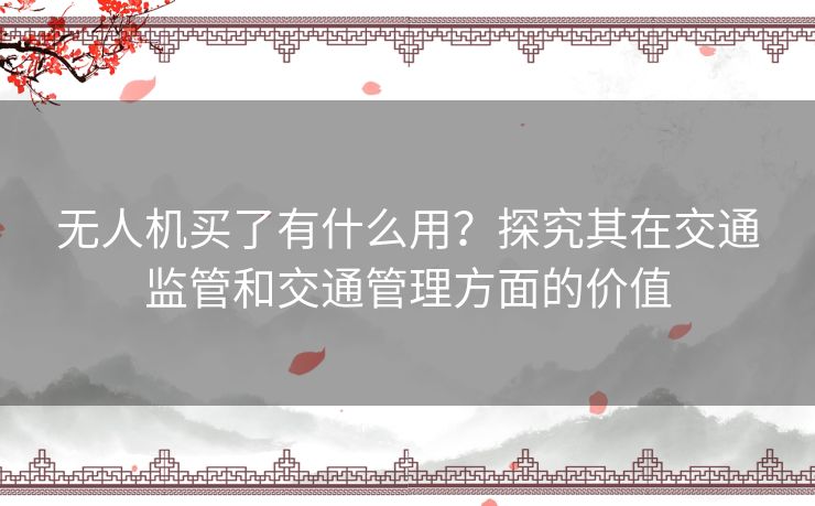 无人机买了有什么用？探究其在交通监管和交通管理方面的价值