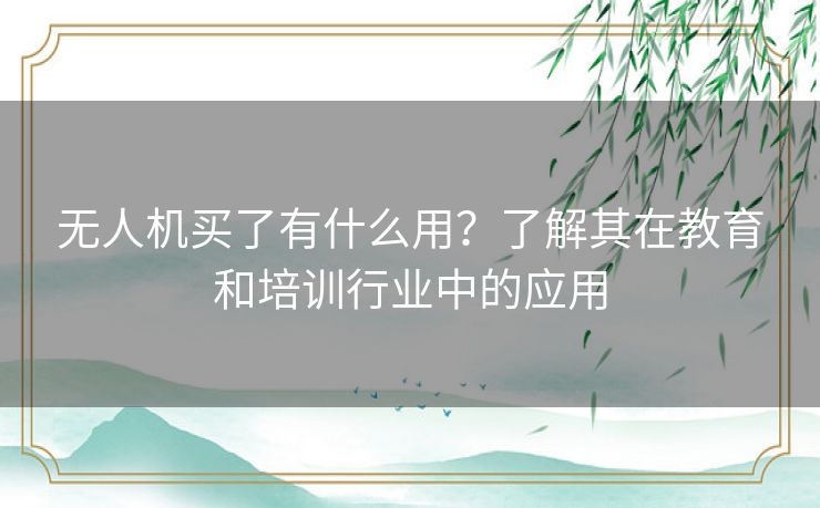 无人机买了有什么用？了解其在教育和培训行业中的应用
