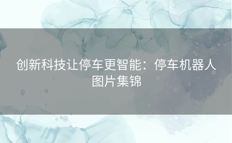 创新科技让停车更智能：停车机器人图片集锦
