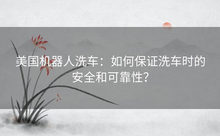 美国机器人洗车：如何保证洗车时的安全和可靠性？