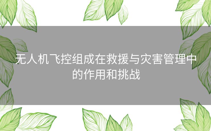 无人机飞控组成在救援与灾害管理中的作用和挑战