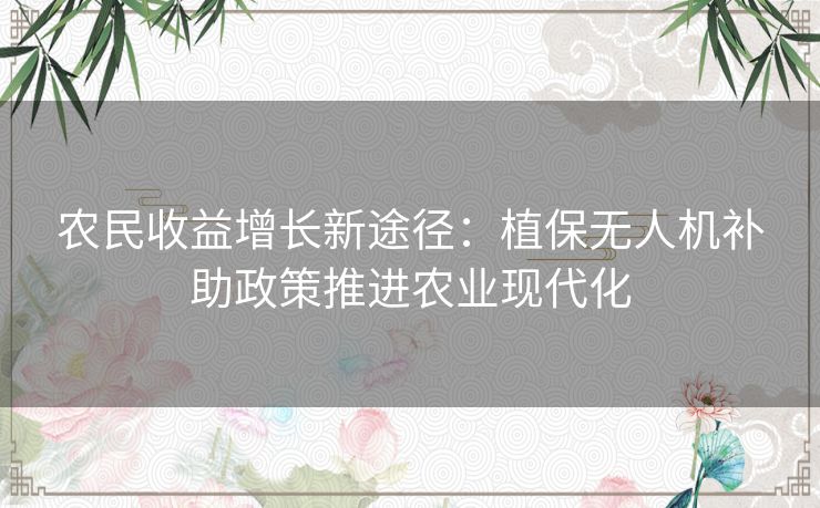农民收益增长新途径：植保无人机补助政策推进农业现代化