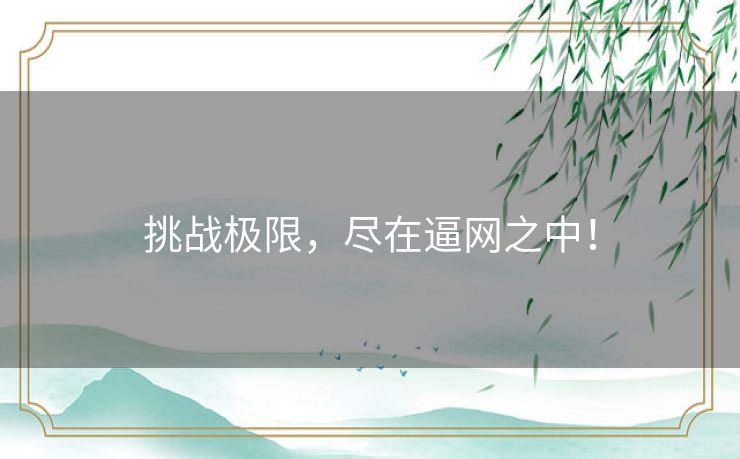 挑战极限,尽在逼网之中! 挑战极限,尽在逼网之中!