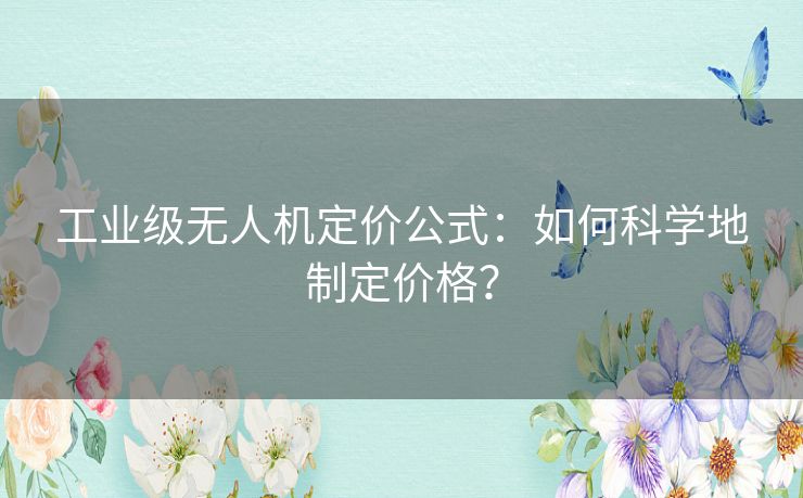工业级无人机定价公式：如何科学地制定价格？