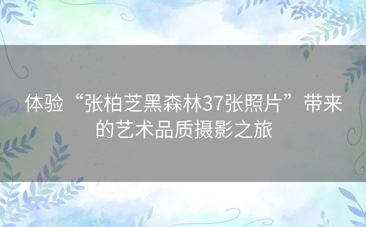 体验“张柏芝黑森林37张照片”带来的艺术品质摄影之旅