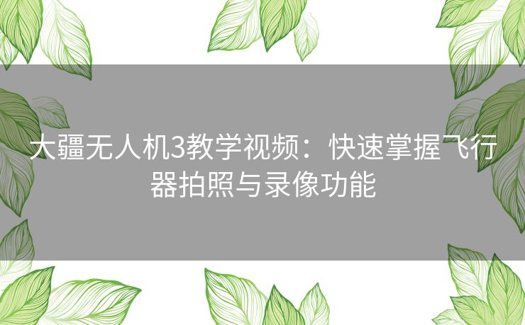 大疆无人机3教学视频：快速掌握飞行器拍照与录像功能
