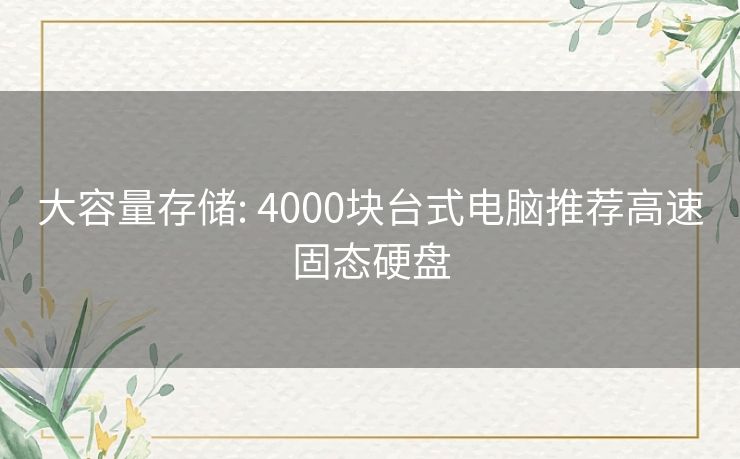 大容量存储: 4000块台式电脑推荐高速固态硬盘