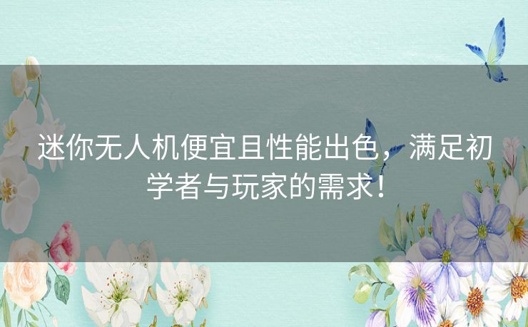 迷你无人机便宜且性能出色，满足初学者与玩家的需求！