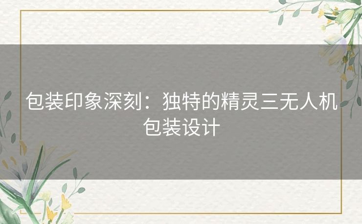 包装印象深刻：独特的精灵三无人机包装设计