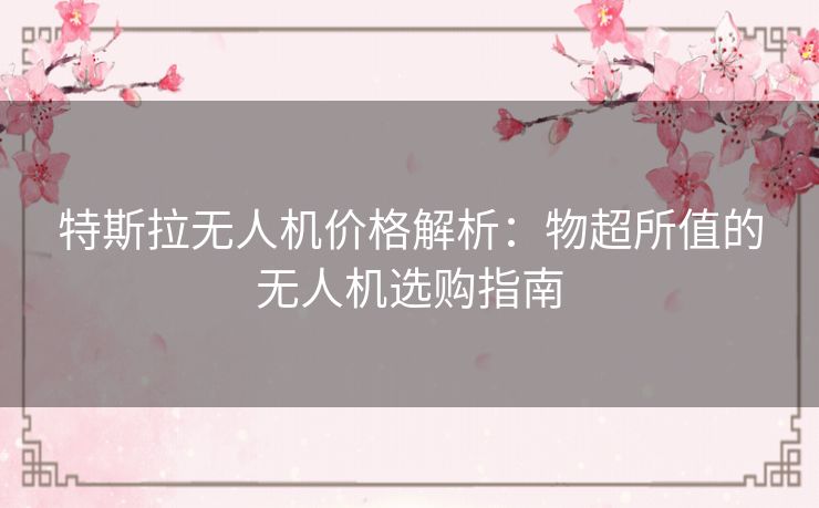 特斯拉无人机价格解析：物超所值的无人机选购指南