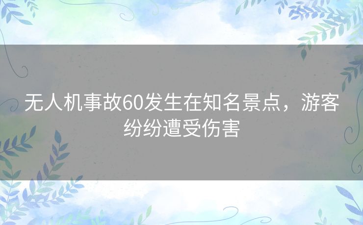 无人机事故60发生在知名景点，游客纷纷遭受伤害