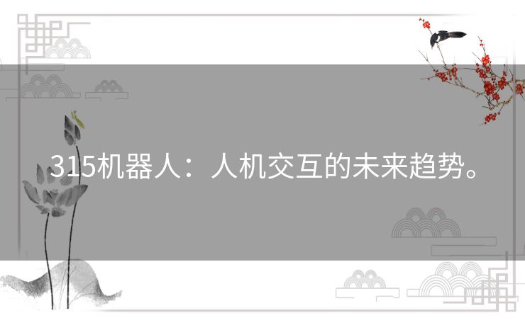 315机器人：人机交互的未来趋势。