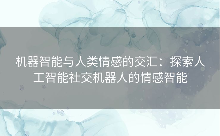 机器智能与人类情感的交汇：探索人工智能社交机器人的情感智能