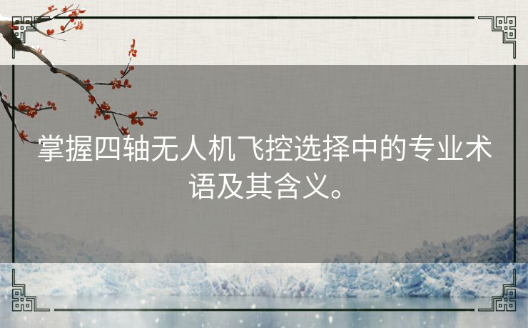 掌握四轴无人机飞控选择中的专业术语及其含义。