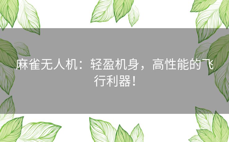 麻雀无人机：轻盈机身，高性能的飞行利器！