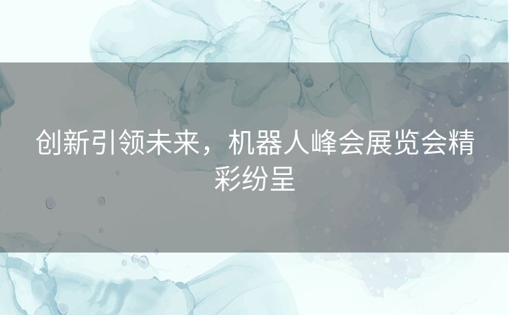 创新引领未来，机器人峰会展览会精彩纷呈
