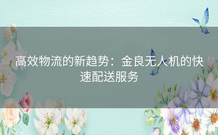 高效物流的新趋势：金良无人机的快速配送服务