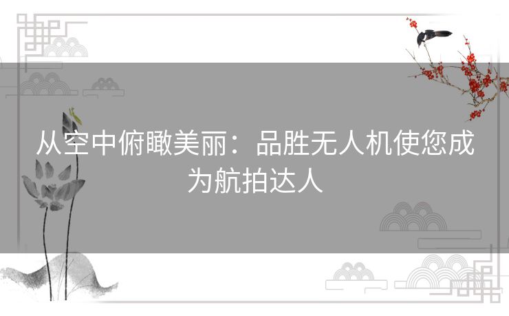 从空中俯瞰美丽：品胜无人机使您成为航拍达人