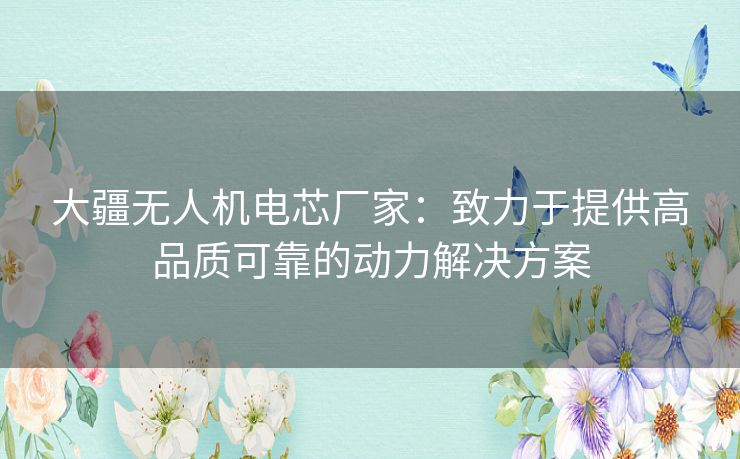 大疆无人机电芯厂家：致力于提供高品质可靠的动力解决方案