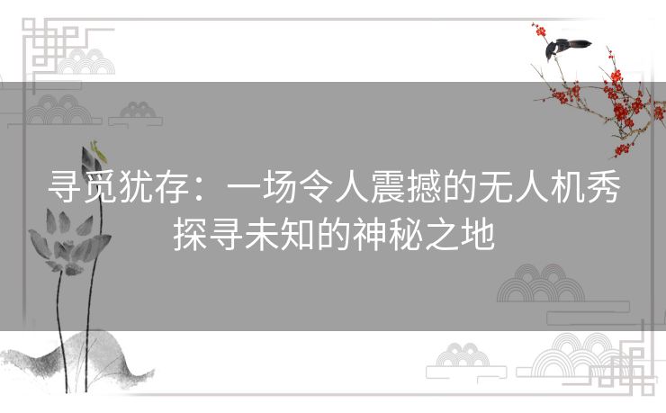 寻觅犹存：一场令人震撼的无人机秀探寻未知的神秘之地