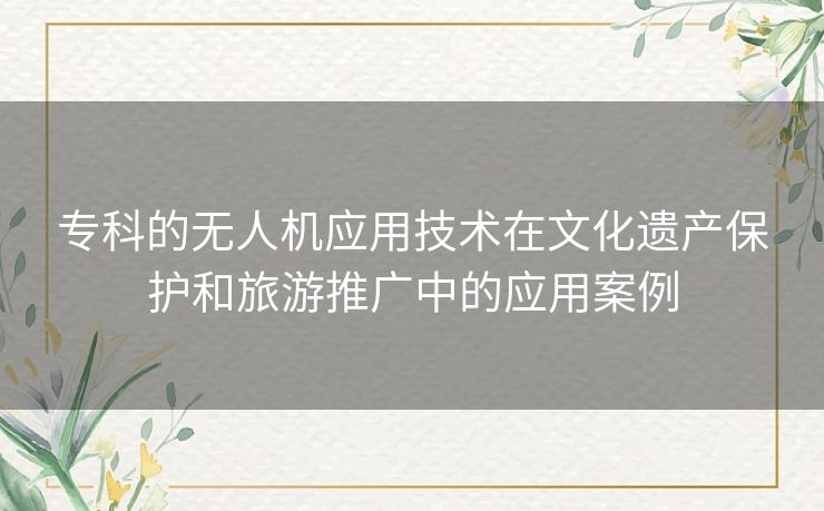 专科的无人机应用技术在文化遗产保护和旅游推广中的应用案例