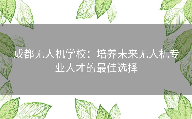 成都无人机学校：培养未来无人机专业人才的最佳选择
