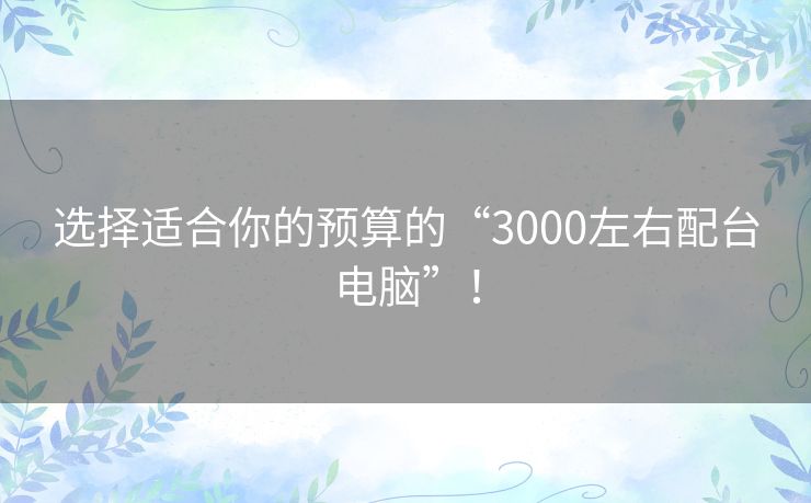 选择适合你的预算的“3000左右配台电脑”! 选择适合你的预算的“3000左右配台电脑”!