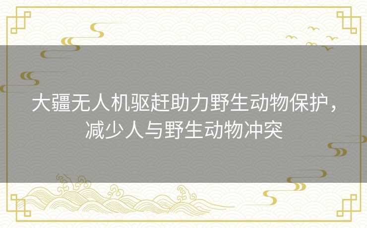 大疆无人机驱赶助力野生动物保护，减少人与野生动物冲突