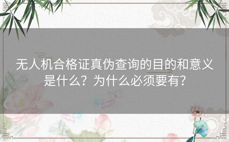 无人机合格证真伪查询的目的和意义是什么？为什么必须要有？