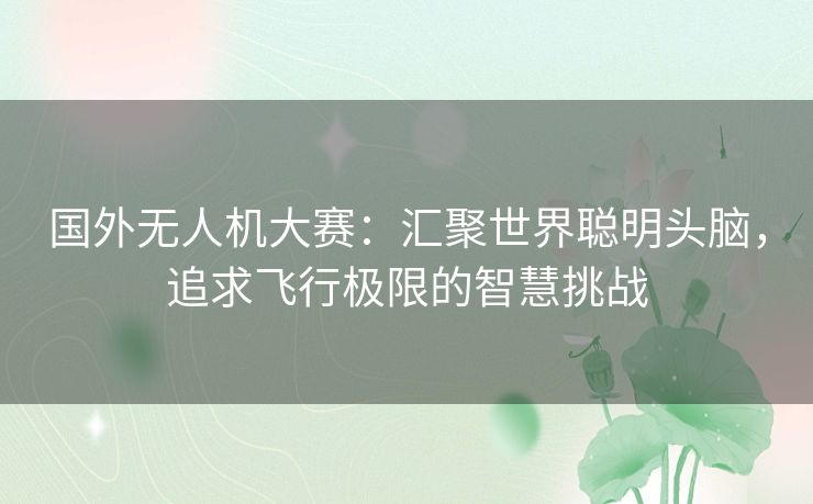 国外无人机大赛：汇聚世界聪明头脑，追求飞行极限的智慧挑战