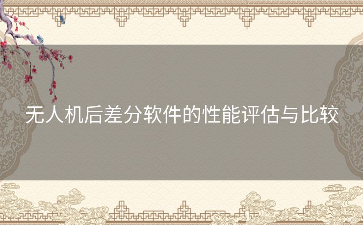 无人机后差分软件的性能评估与比较