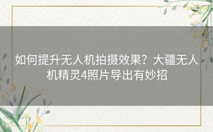 如何提升无人机拍摄效果?大疆无人机精灵4照片导出有妙招 如何提升无人机拍摄效果?大疆无人机精灵4照片导出有妙招
