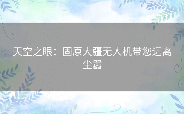 天空之眼:固原大疆无人机带您远离尘嚣 天空之眼:固原大疆无人机带您远离尘嚣