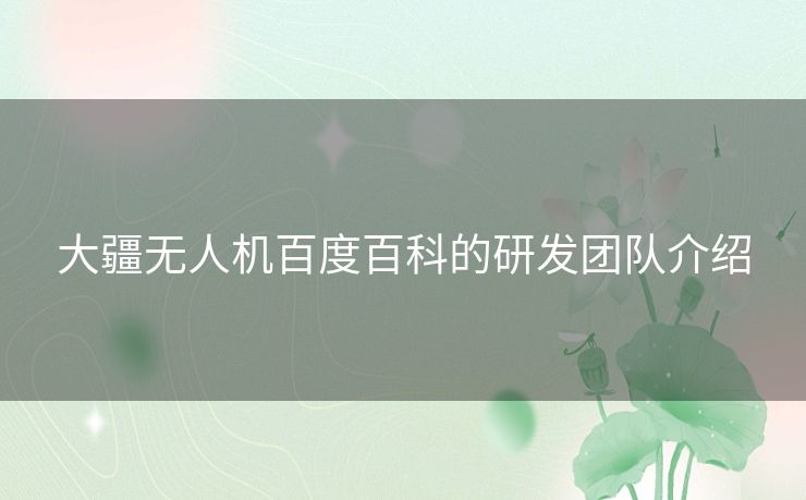 大疆无人机百度百科的研发团队介绍 大疆无人机百度百科的研发团队介绍