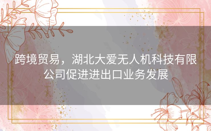 跨境贸易，湖北大爱无人机科技有限公司促进进出口业务发展