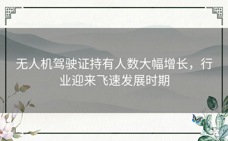 无人机驾驶证持有人数大幅增长，行业迎来飞速发展时期