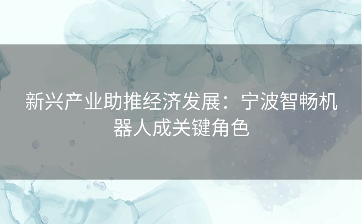 新兴产业助推经济发展：宁波智畅机器人成关键角色