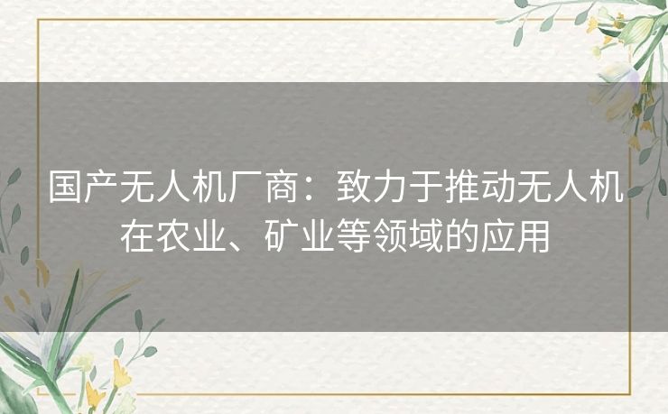 国产无人机厂商：致力于推动无人机在农业、矿业等领域的应用