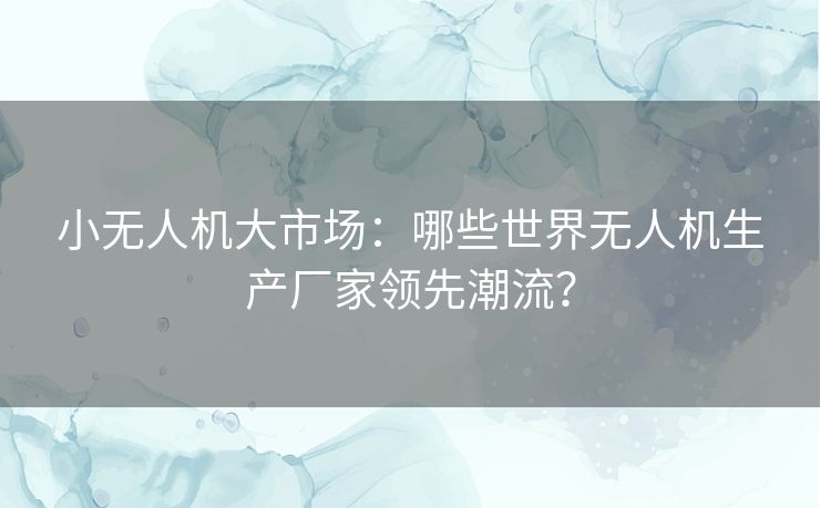 小无人机大市场：哪些世界无人机生产厂家领先潮流？