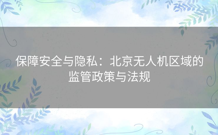 保障安全与隐私：北京无人机区域的监管政策与法规