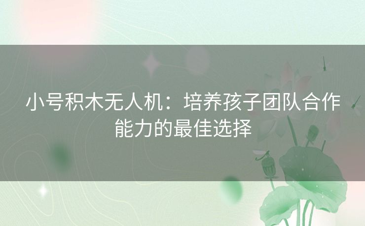 小号积木无人机:培养孩子团队合作能力的最佳选择 小号积木无人机:培养孩子团队合作能力的最佳选择